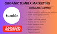 tumblr marketing, promotion for organic growth