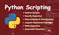 do python scripts, projects and tasks