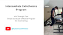 make you a custom intermediate weighted calisthenics program