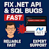 fix your dotnet core API errors and sql bugs quickly