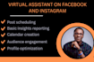 be your social media virtual assistant on facebook and instagram