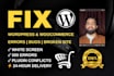 fix wordpress bugs, errors, and critical issues within 24 hours