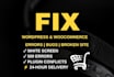 fix wordpress bugs, errors, and critical issues within 24 hours