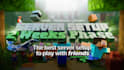 do a minecraft server for the 2 weeks phase with friends
