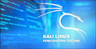 do kali and ubuntu labs for pen testing and cybersecurity