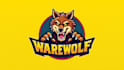 create amazing werewolf logo for you within two days