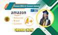 design amazon a plus content or amazon ebc design