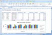 professionally perform any task on excel