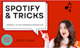 do spotify track promotion, spotify music promotion