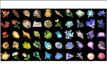piloting collect material from genshin