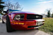 edit your photographs professionally