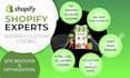 shopify custom coding bug fix shopify error troubleshooting shopify theme bugfix