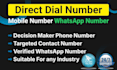 b2b lead generation direct phone cell phone whatsapp data enrichment