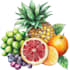 draw realistic plants, vegetables, fruits