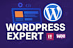 be your expert wordpress developer and web designer