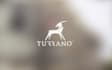 design a modern, versatile, luxury business logo