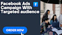 do the best facebook ads campaign with targeted audience