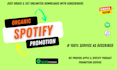 do professional spotify music promotion through ads campaign