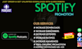 do spotify music promotion through ads campaign