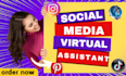 be personal executive virtual assistant social media content manager VA admin