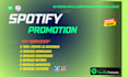 do spotify music promotion through ads campaign