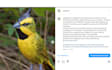 write science based content about animals