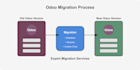 migrate your erp system to a newer odoo version