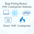 fix bugs on reactjs, PHP, or codeigniter websites