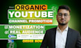 organically promote youtube video to help complete monetization