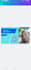 be a professional social meadia mananager and content creater