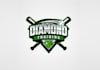 design professional baseball player logo