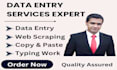 do data entry, web research and excel solutions