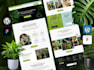 do a luxury wordpress website design and development