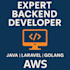 develop robust backend systems with java spring boot