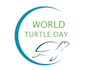 do design creative modern beautiful turtle logo