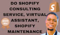 do shopify consultant service, virtual assistant, shopify maintenance