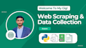 do web scraping, python automation and data mining
