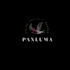 design a stylish color analysis studio logo