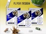 do a flyer design , poster, brochure, leaflet, bifold design, bushier design