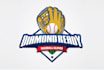 design capturing baseball softball logo