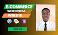 design professional wordpress website, ecommerce website