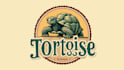 design amazing tortoise logo with creative concepts