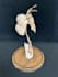 create a unique sculpture made of real bones