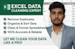 do ms excel data cleaning, sorting and formatting