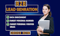 do data enrichment,b2b lead generation target person number