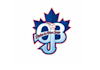 design elite baseball team logo