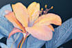 do a botanical illustration flowers and botanical plants