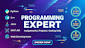 be your coder and do python, java, cpp, c language  project