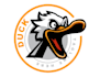 design stylish goose logo with express delivery