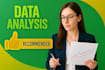 provide expert data analysis and data visualization services